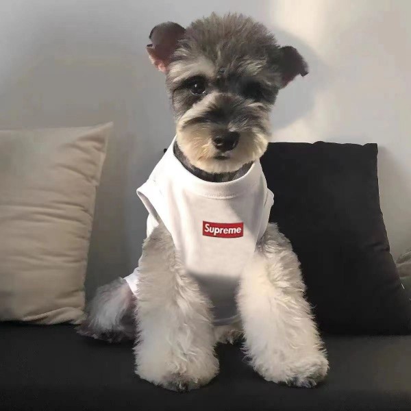 Supreme おしゃれな犬の服ノースリーブの薄い犬のチョッキテディベアシナレボ美猫の子犬は通気性がある